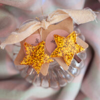 Barrettes paillettes duo étoiles