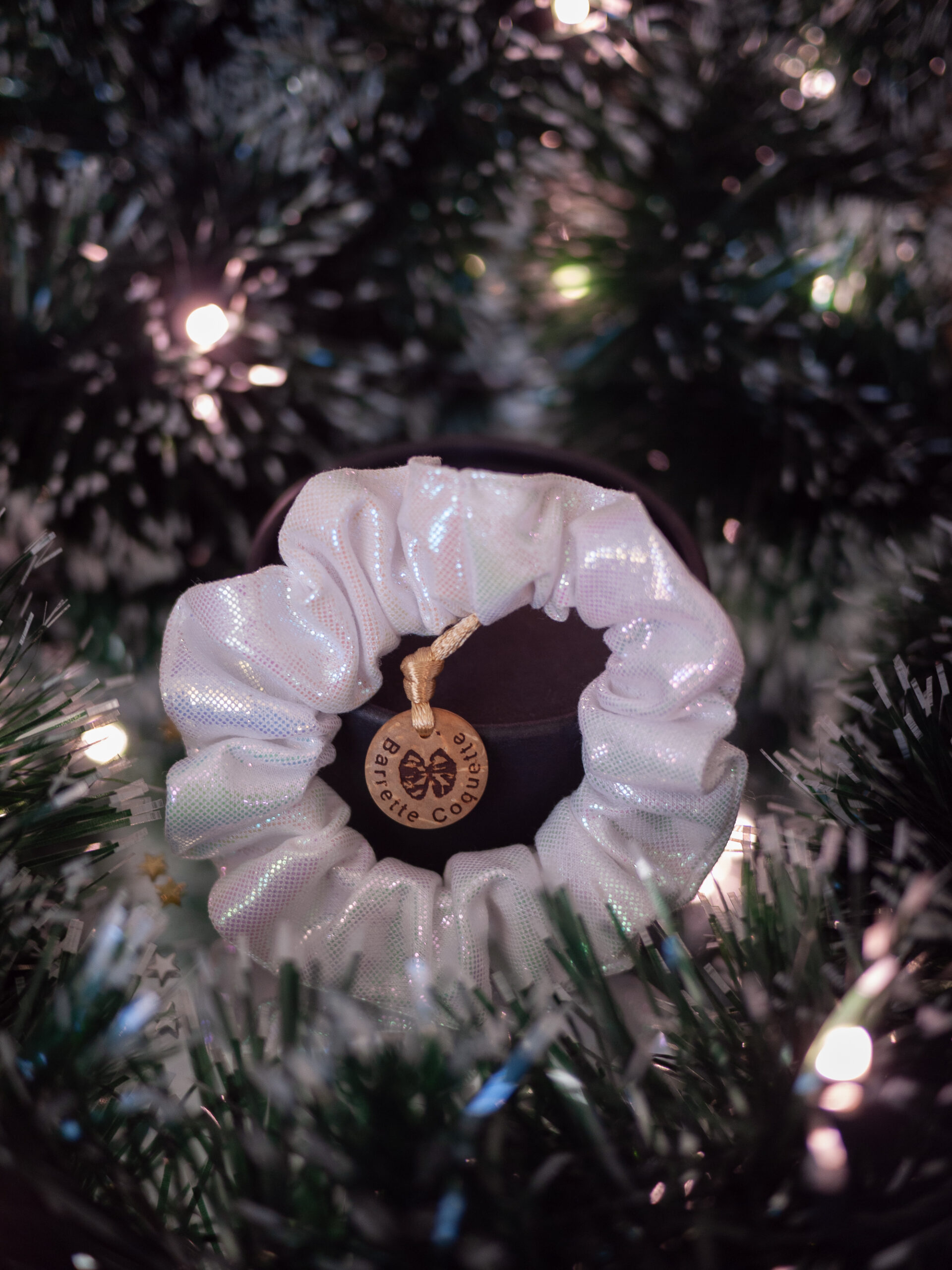 Barrette Coquette-Novembre 2025-423